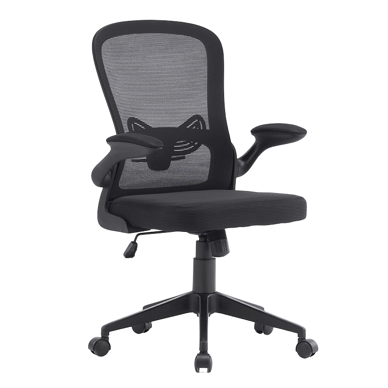 Low Back Flip Armlast Mesh Stuhl Task Office Chair (W-9102)